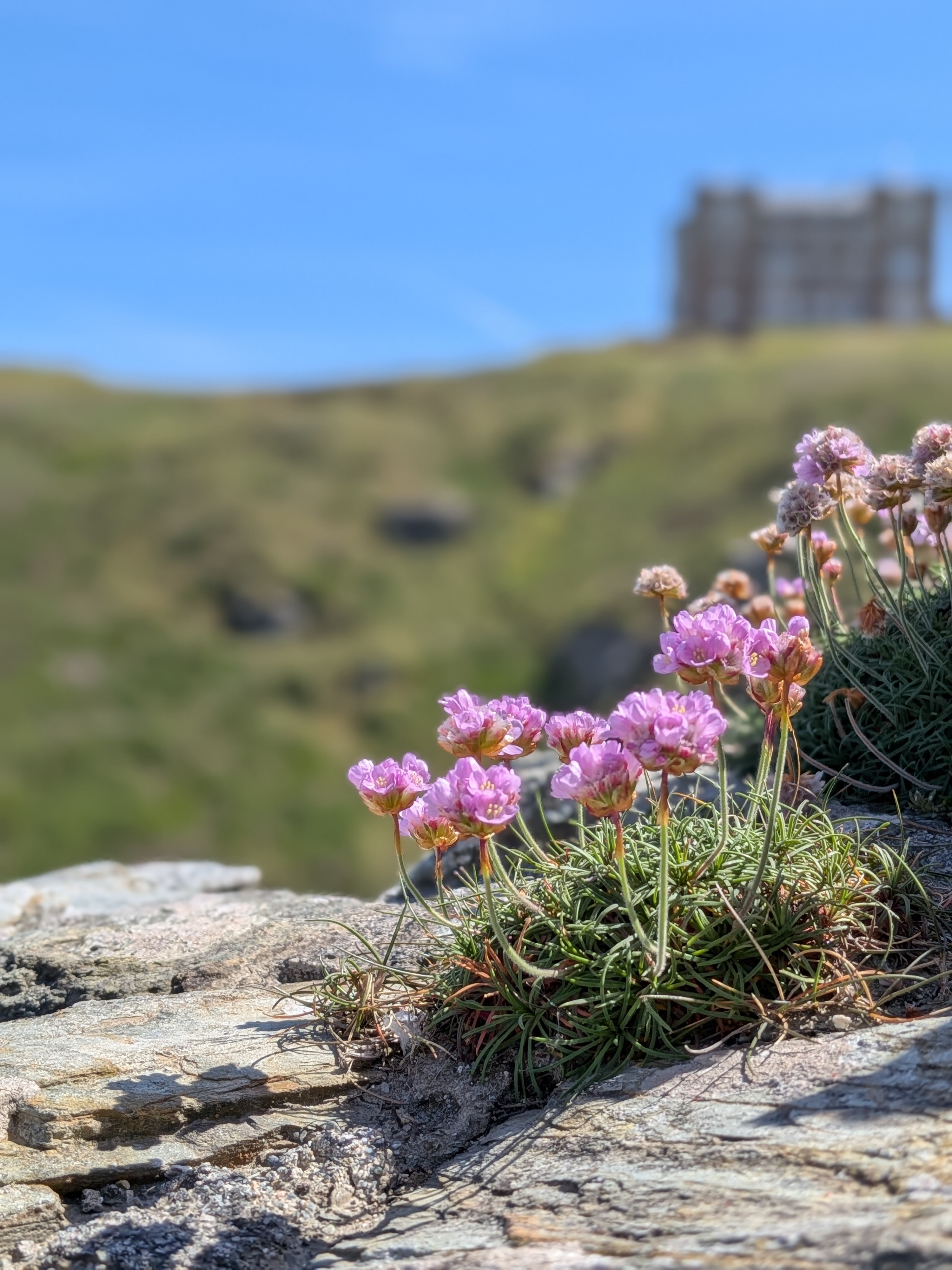 Natur und Gesundheit